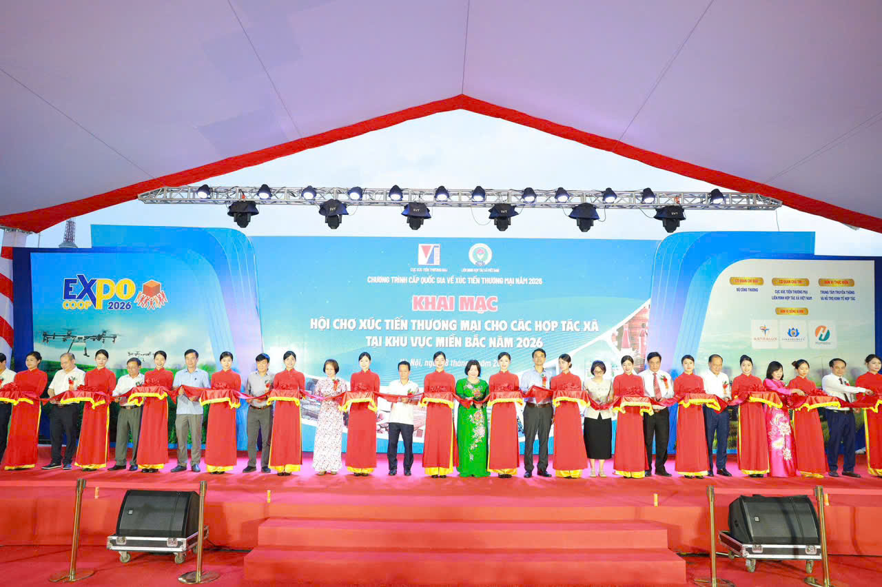anh 983.jpg (284 KB)