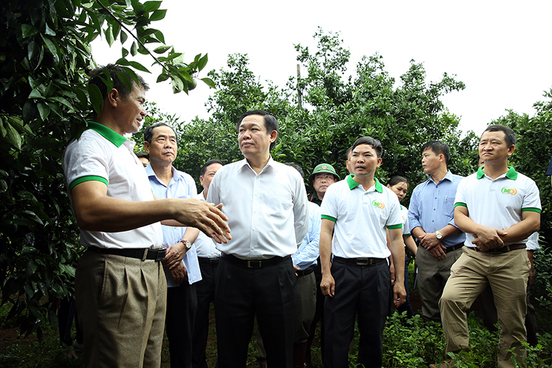 Phó Thủ tướng Vương Đình Huệ thăm HTX tiêu biểu Mường Động, tỉnh Hoà Bình - một mô hình tiêu biểu trong huy động các nguồn lực tài chính để xây dựng mối liên kết tự nguyện, bền vững giữa các xã viên gắn với chuỗi sản xuất.